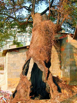 bsports必一网页版