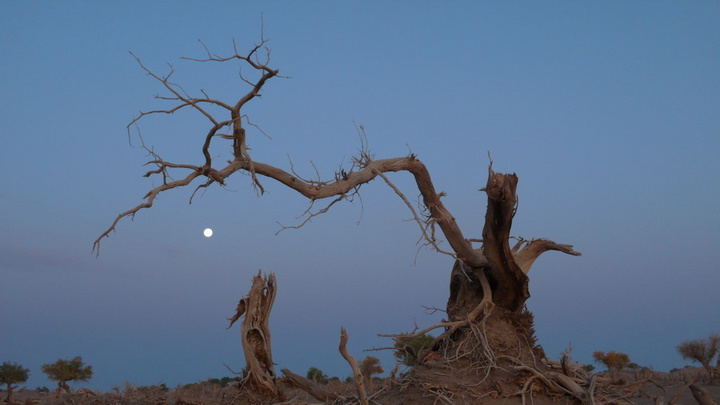 bsports必一网页版