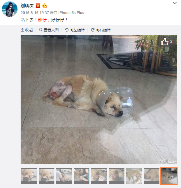 bsports必一网页版