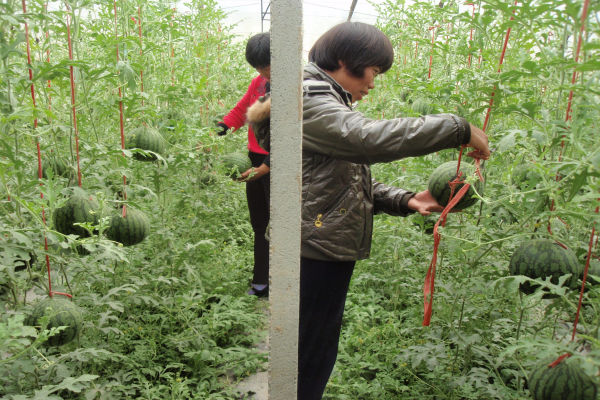 bsports必一网页版