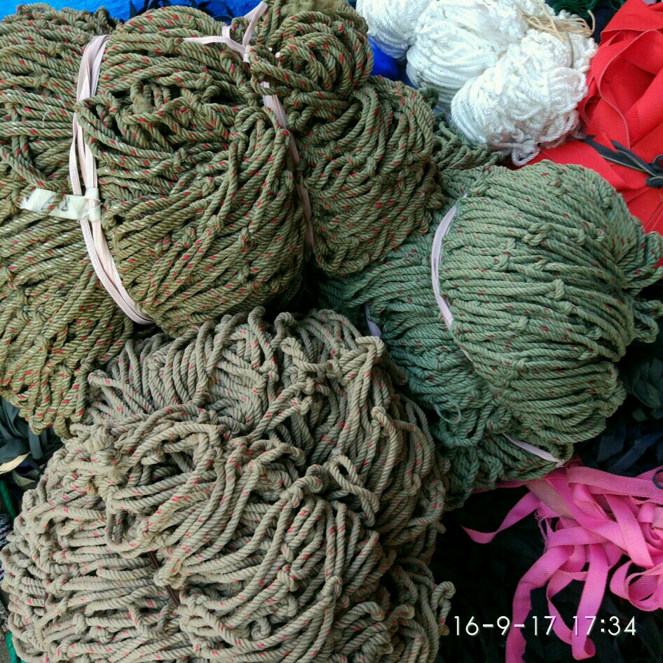 bsports必一网页版