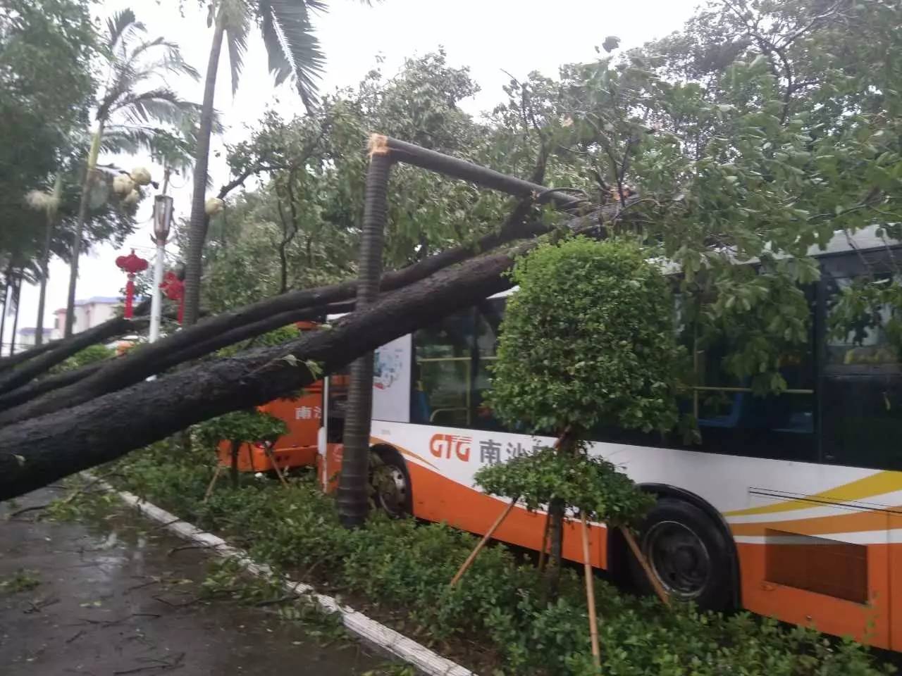 bsports必一网页版