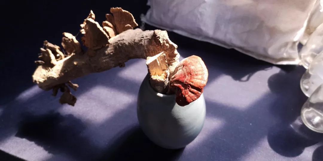 bsports必一网页版