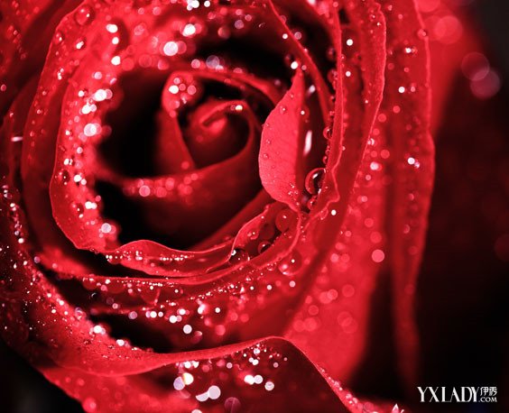 ‘bsports必一网页版’进NBA前后肌肉对比图:字母哥麒麟臂粗1圈,詹姆斯判若两人(图2) bsports必一网页版