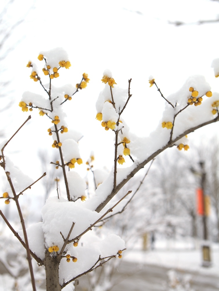 bsports必一网页版:男士九分裤配运动鞋图 早秋出街这样穿不帅都不行(图2) bsports必一网页版