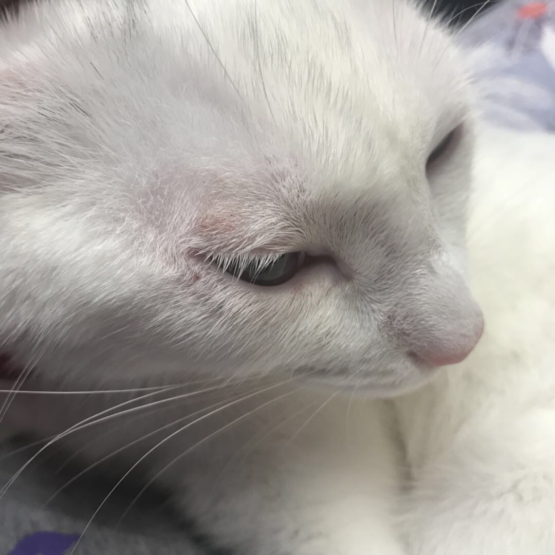 bsports必一网页版:男士九分裤配运动鞋图 早秋出街这样穿不帅都不行(图4) bsports必一网页版