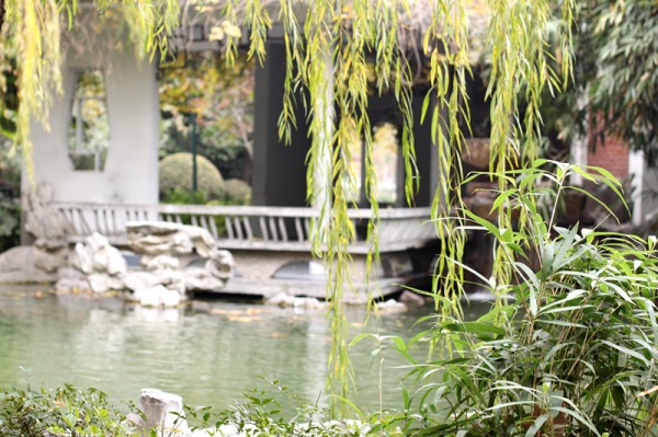 ‘bsports必一网页版’南京|职称申报忘了密码如何找回?(图2) bsports必一网页版