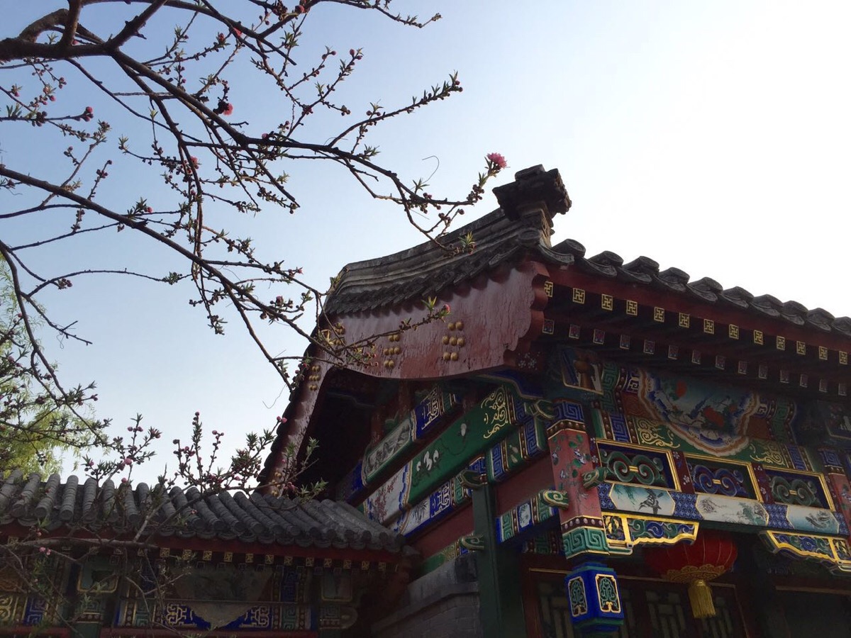 郝海东或任新足协主席?体育总局回应不置可否-bsports必一网页版(图2) bsports必一网页版