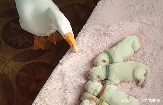 郝海东或任新足协主席?体育总局回应不置可否-bsports必一网页版(图3) bsports必一网页版