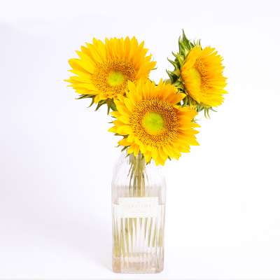 知网下架多本刊物 作者懵了 已经揭晓的论文赶快打印备份-bsports必一网页版(图2) bsports必一网页版