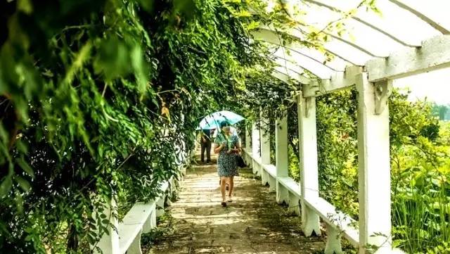 bsports必一网页版