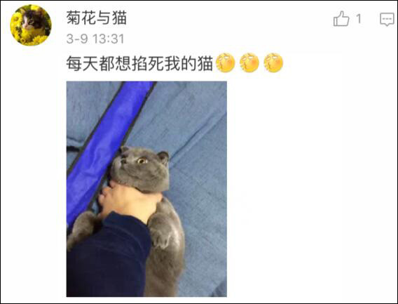 bsports必一网页版