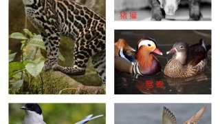 bsports必一网页版