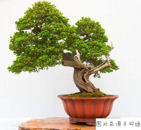 bsports必一网页版