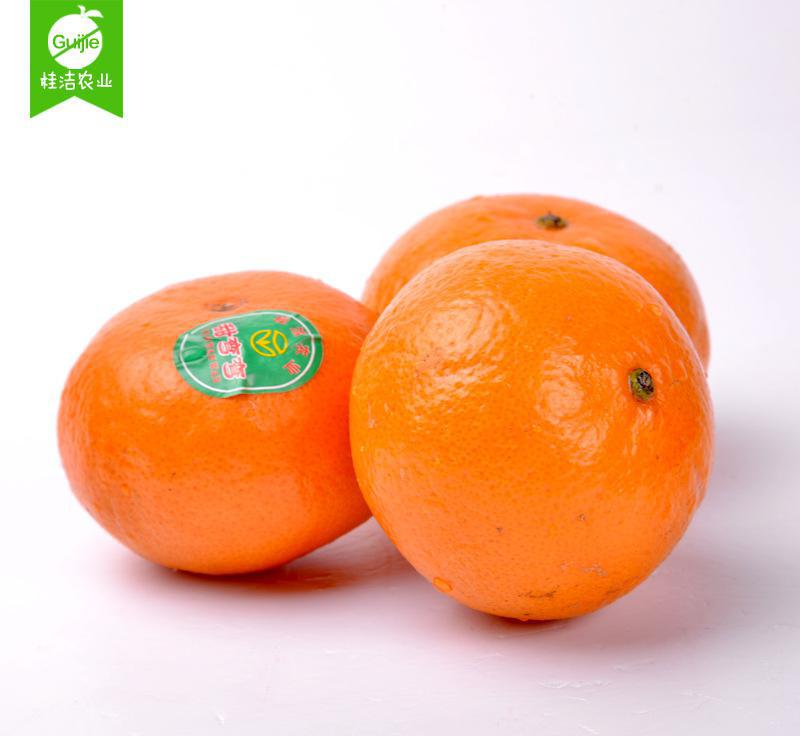 bsports必一网页版