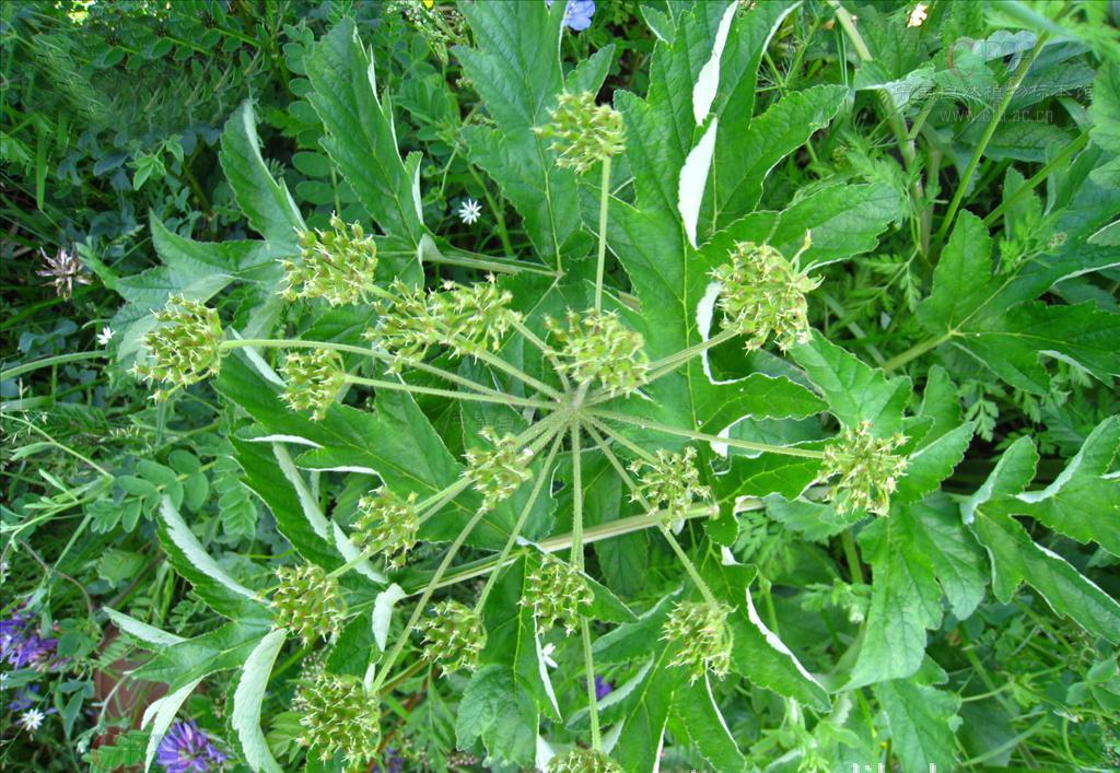 bsports必一网页版