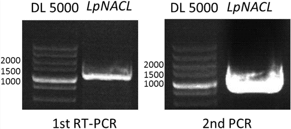 bsports必一网页版