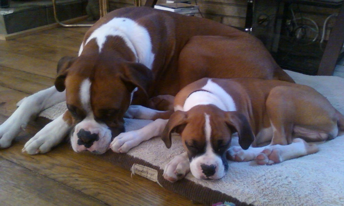 bsports必一网页版