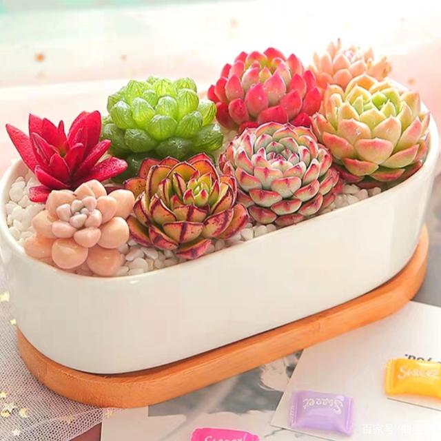 bsports必一网页版