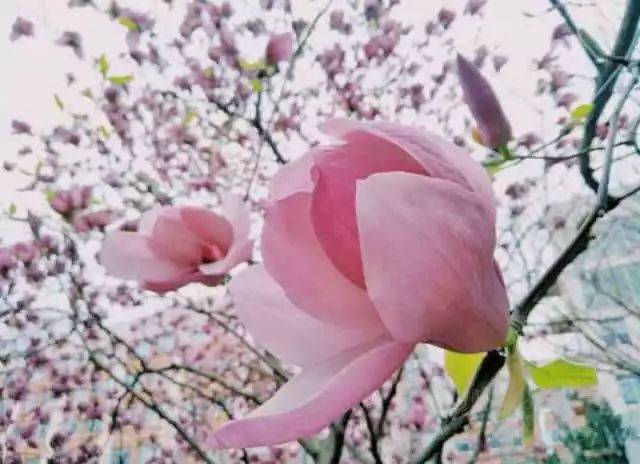 bsports必一网页版