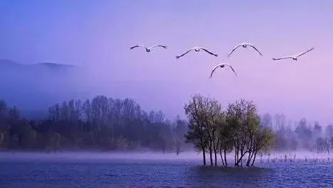 bsports必一网页版